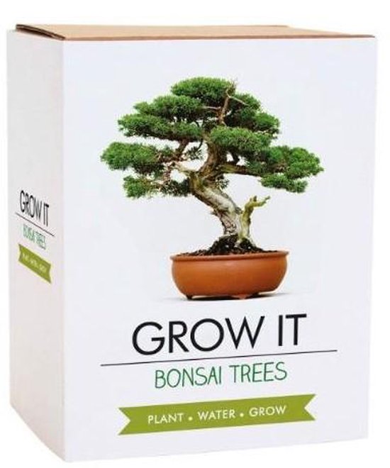 Cultivez votre propre bonsaï