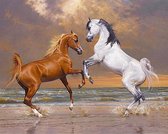 Diamond painting - Donker en licht paard bij zee - 40x30cm
