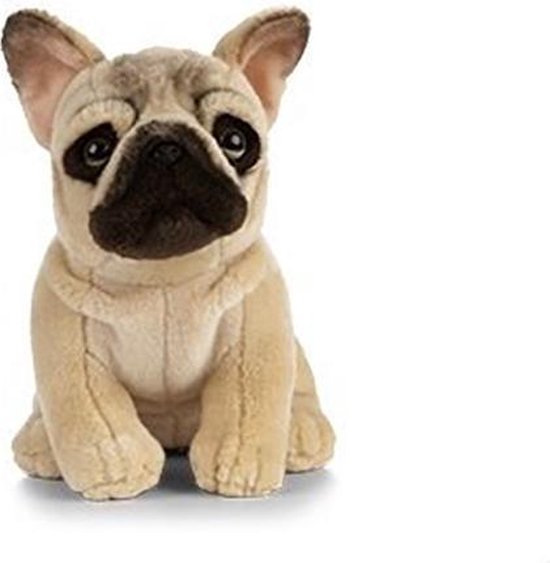 orgaan vloeistof prijs Pluche Franse Bulldog hond knuffel 25 cm -Honden huisdieren knuffels -  Speelgoed voor... | bol.com