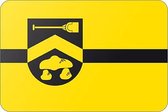 Vlag gemeente Borgerodoorn - 100 x 150 cm - Polyester