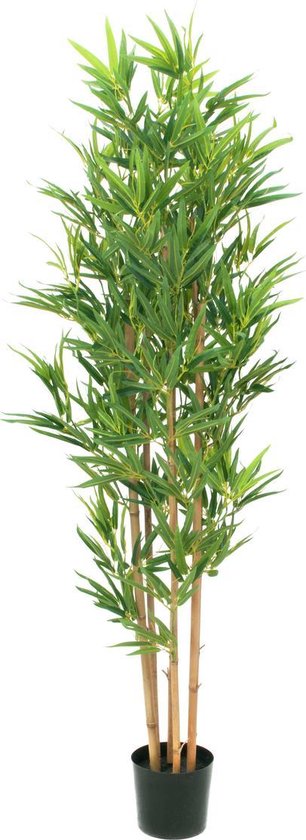 bestellen Zich voorstellen voorraad Europalms kunstplant bamboe - 150cm - Groen - Kunstplant voor binnen met  pot - Bamboo | bol.com