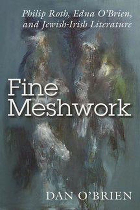 Irish Studies - Fine Meshwork - cover