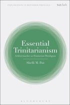 Essential Trinitarianism