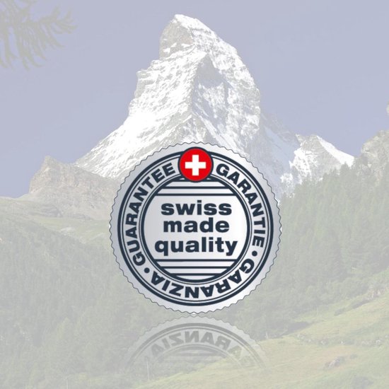 Rotho Paso Poubelle à Pédale - 6 l - Argent Métallisé