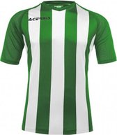 Acerbis Sports JOHAN STRIPED S/SL JERSEY (Sportshirt) GREEN/WHITE 4XS height JR: 156/165 .061 height JR: 120/132 .071