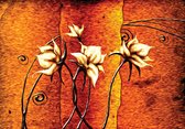 Papier peint photo Polaire | Fleurs | Marron, Orange | 368x254cm (lxh)