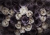 White Grey Roses Flowers Photo Wallcovering