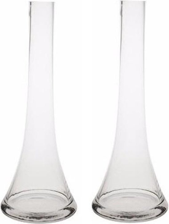 romantisch Moedig aan blad 2x Smalle vaas helder glas 32 cm - 2x vaas voor 1 bloem/roos - 2 stuks |  bol.com