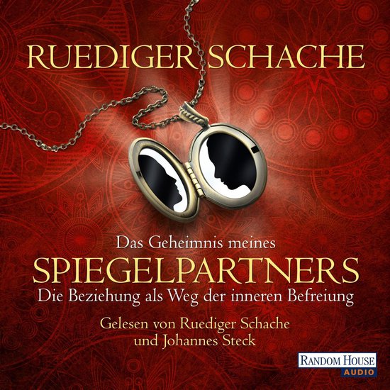 Das Geheimnis meines Spiegelpartners - cover