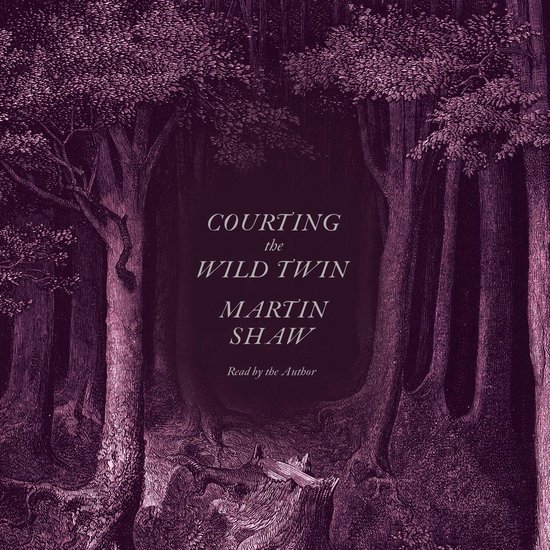 Courting the Wild Twin - cover