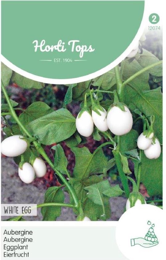 Hortitops zaden - Aubergine White Eggs