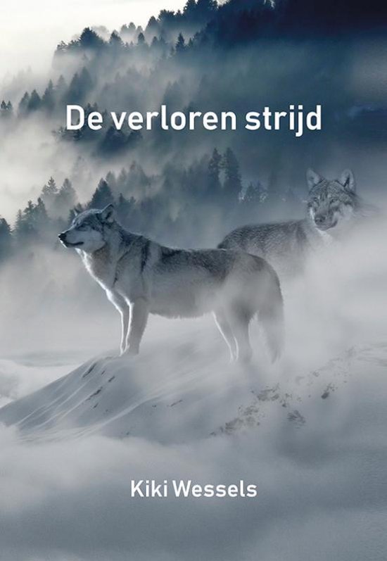 De verloren strijd - cover