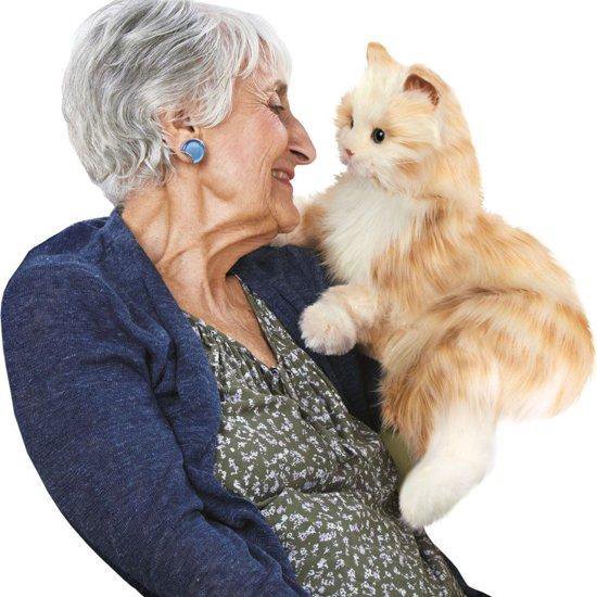 All For Paws Roll Around Flutter Bug - Kattenspeelgoed - - Noorse Boskat - Pets Place