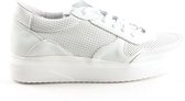 Heren Sneakers Steve Madden Franklo White Sm12000144 Wit - Maat 46