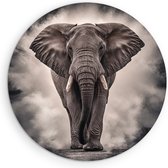 Saammp Muurcirkel Hout - Olifant - Abstract - Afrika - Dieren - Ø 40 - Wandcirkel - Wanddecoratie Cirkel - muurdecoratie Woonkamer - Slaapkamer decoratie - Rond Schilderij