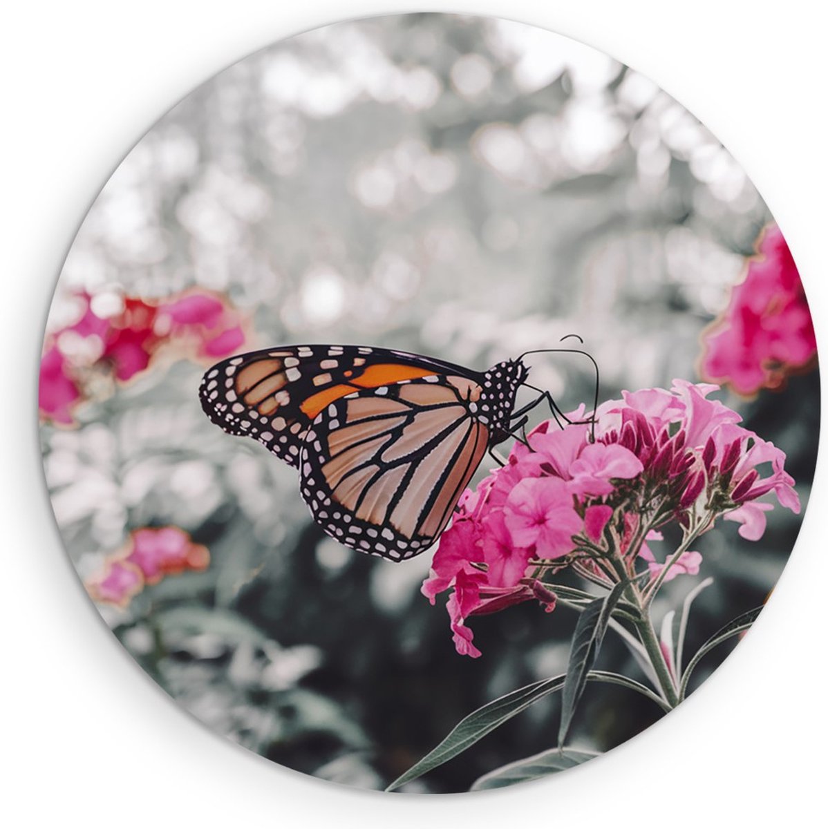 Saammp Forex Muurcirkel - Vlinder bij Roze Bloemen - Dieren - Natuur - Ø 90 - Wandcirkel - Wanddecoratie Cirkel - muurdecoratie Woonkamer - Slaapkamer decoratie - Rond Schilderij