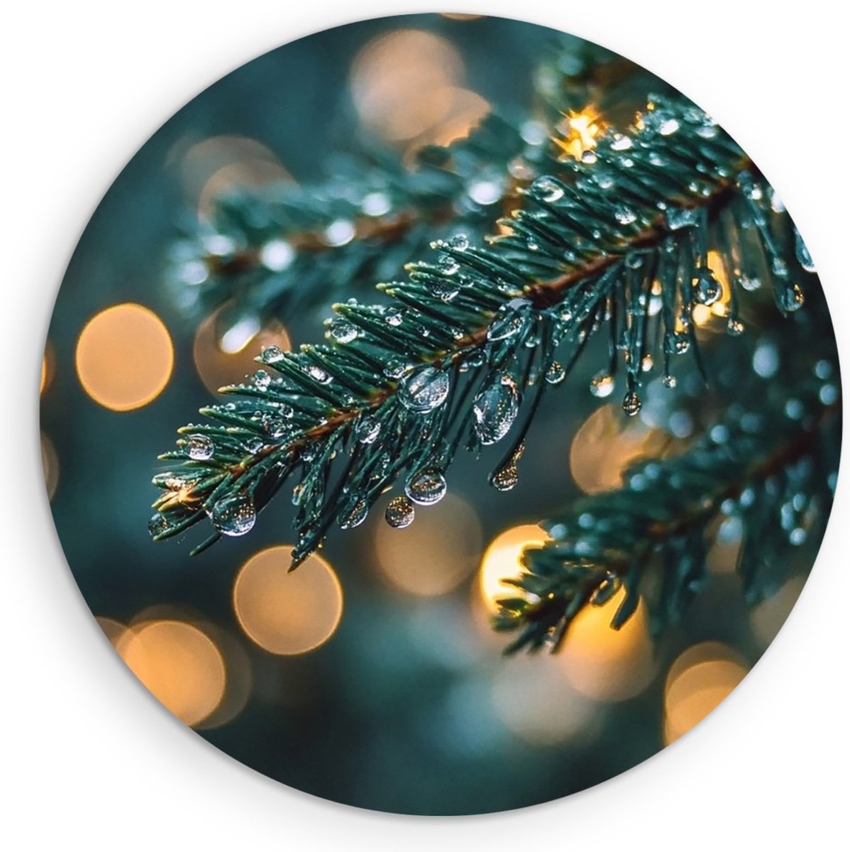Saammp Forex Muurcirkel - Natuur - Planten - landschap - Ø 70 - Wandcirkel - Wanddecoratie Cirkel - Muurdecoratie Woonkamer - Slaapkamer decoratie - Rond Schilderij