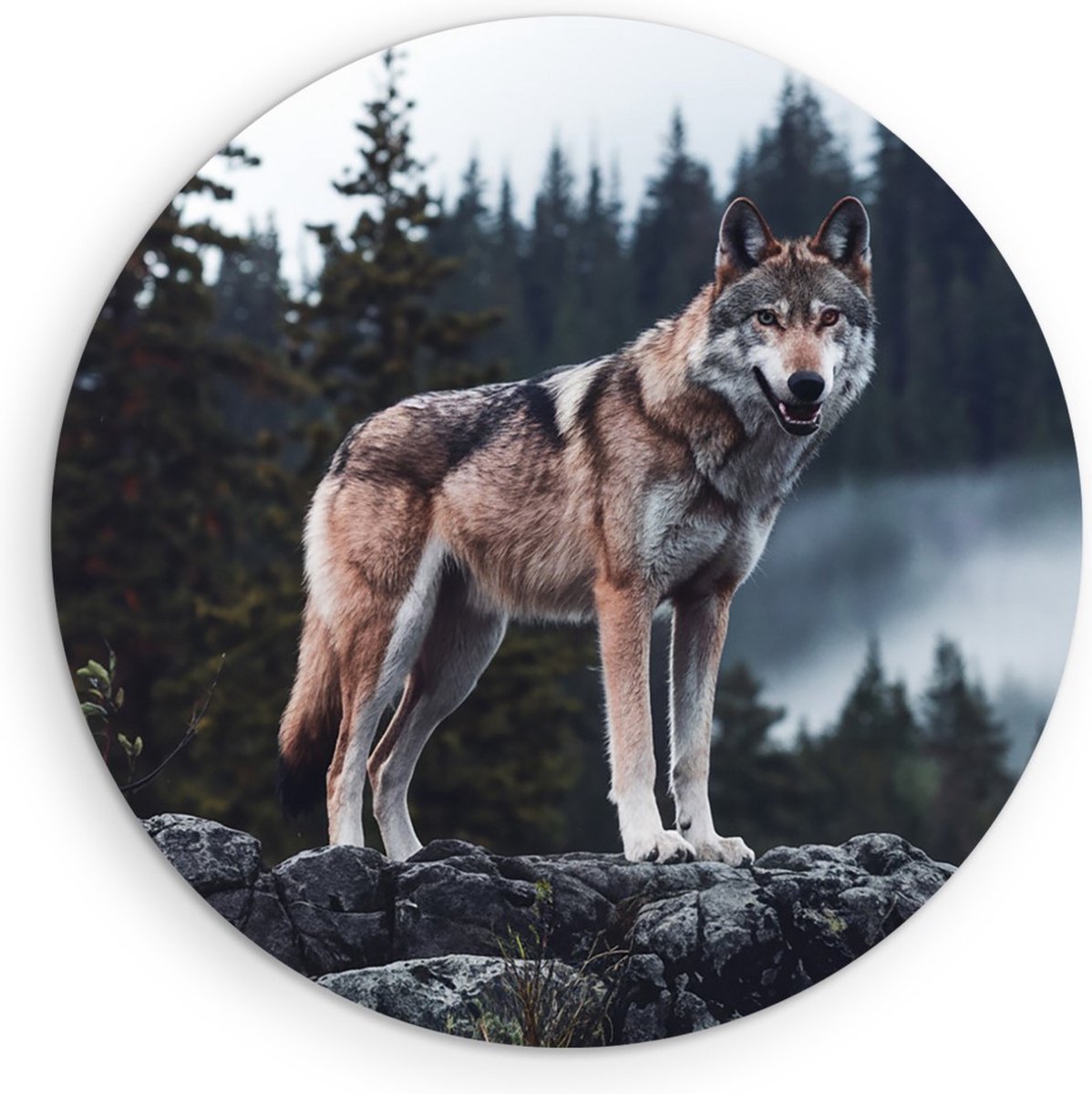 Saammp Muurcirkel Hout - Wolf op een rots - Dieren - Natuur - Ø 60 - Wandcirkel - Wanddecoratie Cirkel - muurdecoratie Woonkamer - Slaapkamer decoratie - Rond Schilderij