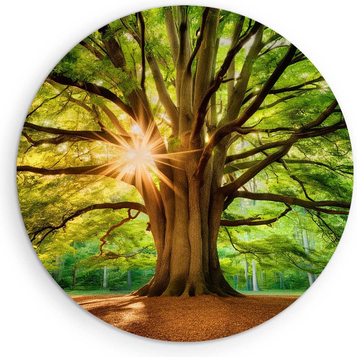 Saammp Forex Muurcirkel - Grote Boom met tijdens goldenhour - Natuur - Landschap - Ø 30 - Wandcirkel - Wanddecoratie Cirkel - Muurdecoratie Woonkamer - Slaapkamer decoratie - Rond Schilderij