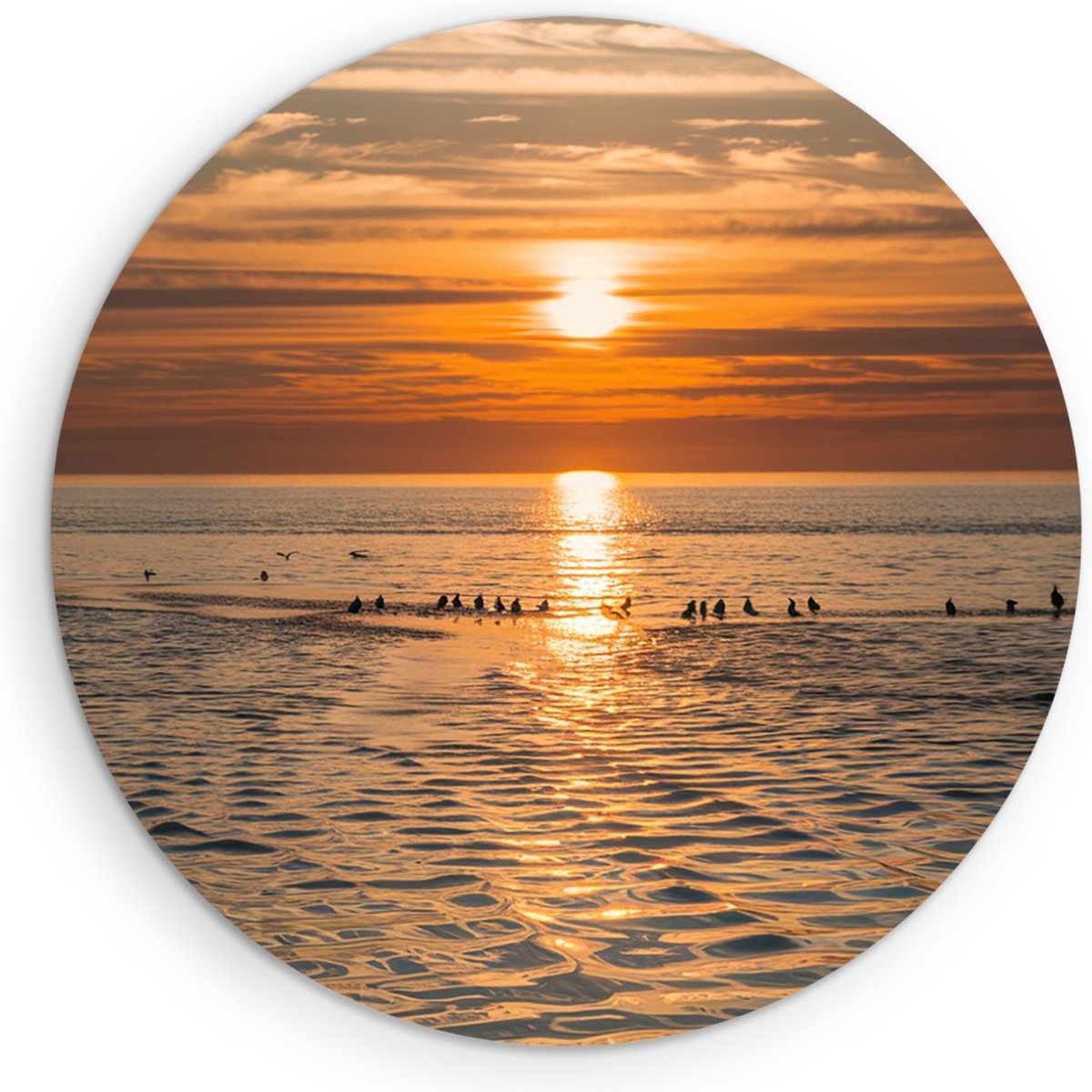 Saammp Forex Muurcirkel - Vogels op een zandbank - Strand - Landschap - Natuur - Ø 40 - Wandcirkel - Wanddecoratie Cirkel - Muurdecoratie Woonkamer - Slaapkamer decoratie - Rond Schilderij