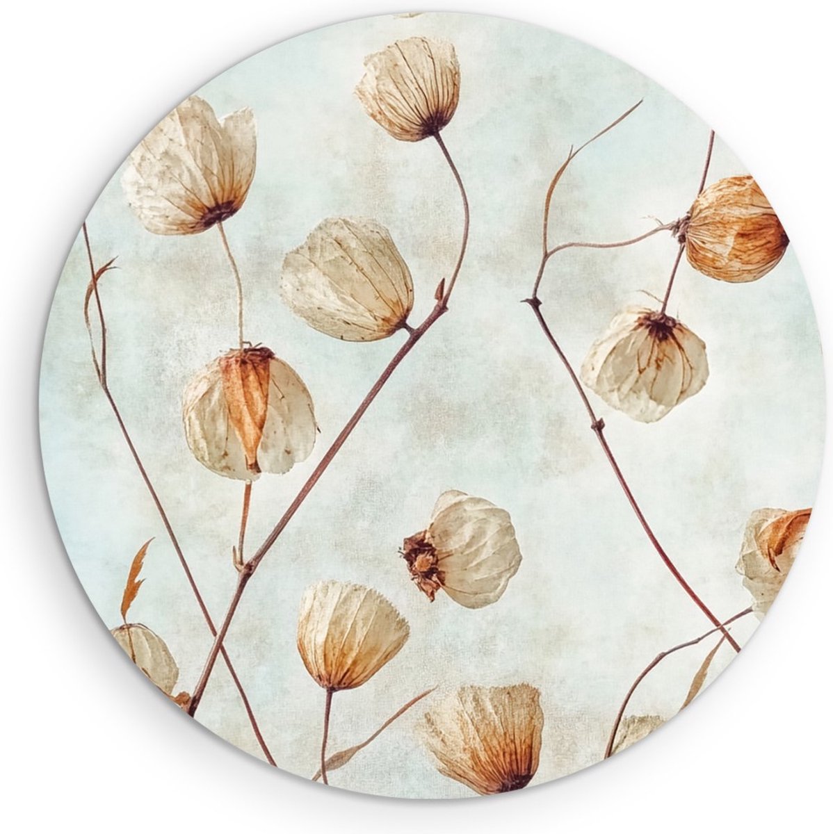 Saammp Forex Muurcirkel - Gedroogde Bloemen Vintage - Natuur - Botanisch - Ø 80 - Wandcirkel - Wanddecoratie Cirkel - Muurdecoratie Woonkamer - Kantoor Decoratie