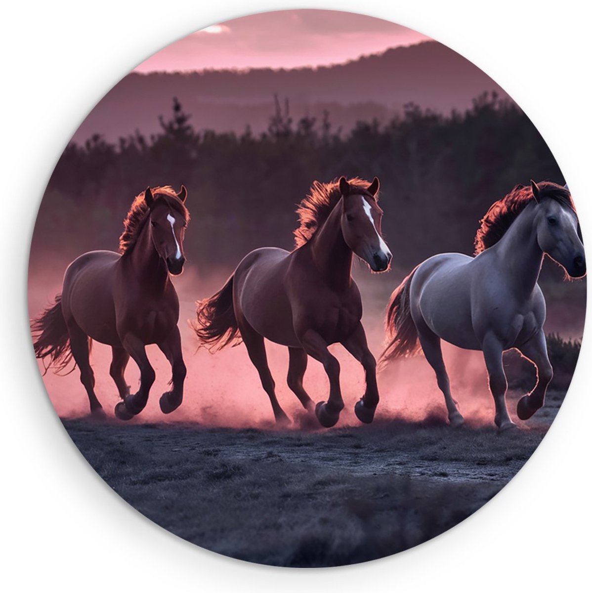 Saammp Forex Muurcirkel - Paarden in zonsondergang - Natuur - Dieren - Ø 30 - Wandcirkel - Wanddecoratie Cirkel - Muurdecoratie Woonkamer - Slaapkamer decoratie - Rond Schilderij