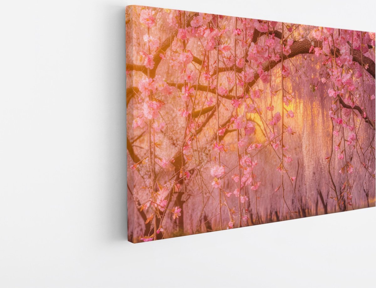 Saammp Canvas Schilderij - Roze bloesem met zonsondergang - Natuur - Landschap - 150x100 - Foto op canvas - Wanddecoratie - Muurdecoratie Woonkamer - Slaapkamer decoratie - Canvas Print Multicolor