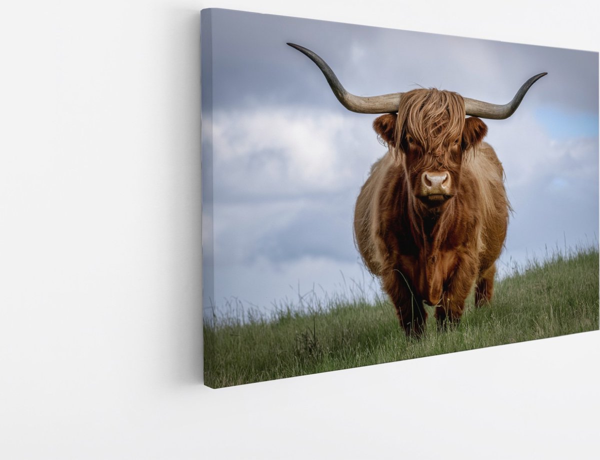 Saammp Canvas Schilderij - Schotse Hooglander Koe in de wei- Natuur - Dieren - 150x100 - Foto op canvas - Wanddecoratie - Muurdecoratie Woonkamer - Slaapkamer decoratie - Canvas Print Multicolor