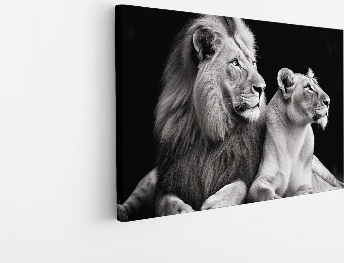 Saammp Canvas Schilderij - Zwart-wit - Leeuw - Leeuwin - Dieren - Natuur - 45x30 - Foto op canvas - Wanddecoratie - Muurdecoratie Woonkamer - Slaapkamer decoratie - Canvas Print Multicolor