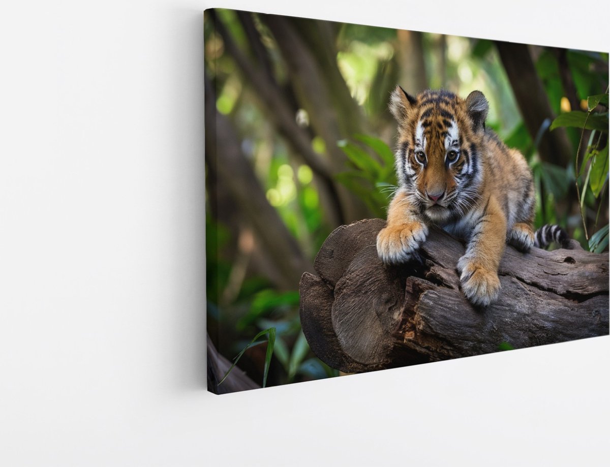 Saammp Canvas Schilderij - Tijger welp op stronk - Natuur - Dieren - 40x30 - Foto op canvas - Wanddecoratie - muurdecoratie Woonkamer - Slaapkamer decoratie - Canvas Print Multicolor
