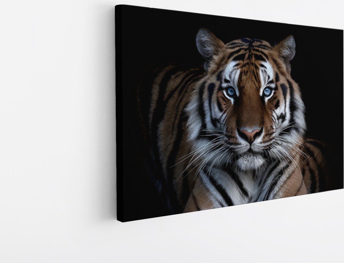 Saammp Canvas Schilderij - Tijger Met Blauwe Ogen - Natuur - Dieren - 150x100 - Foto op canvas - Wanddecoratie - muurdecoratie Woonkamer - Slaapkamer decoratie - Canvas Print Multicolor