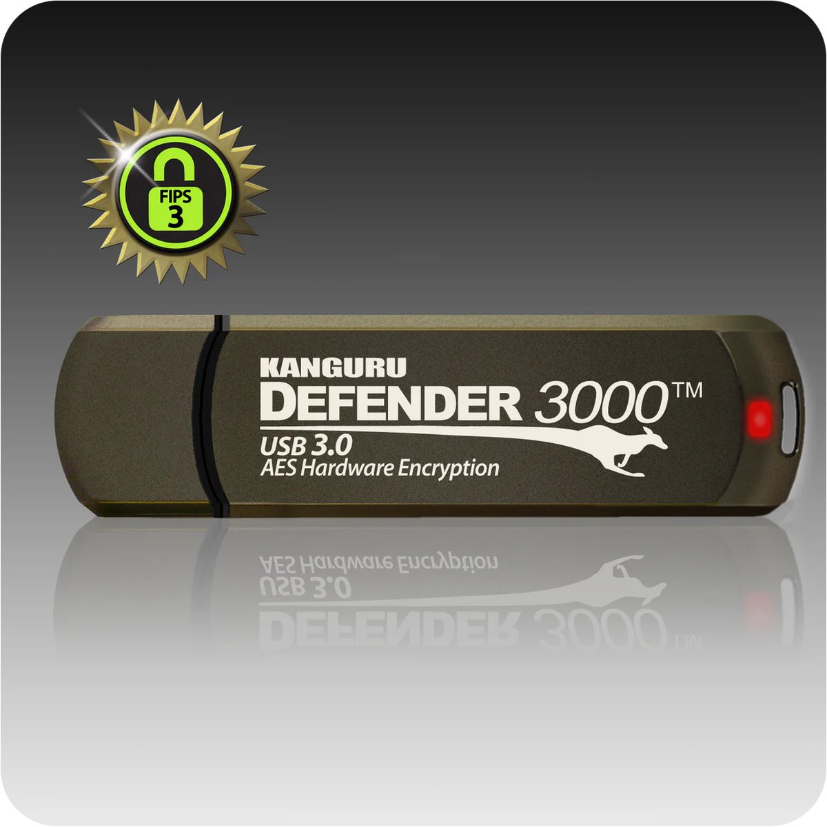 Kanguru - Defender 3000 – 256 GB - Hardware Encrypted USB-Stick – USB 3.0 – FIPS 140-2 Level 3 – Zwart