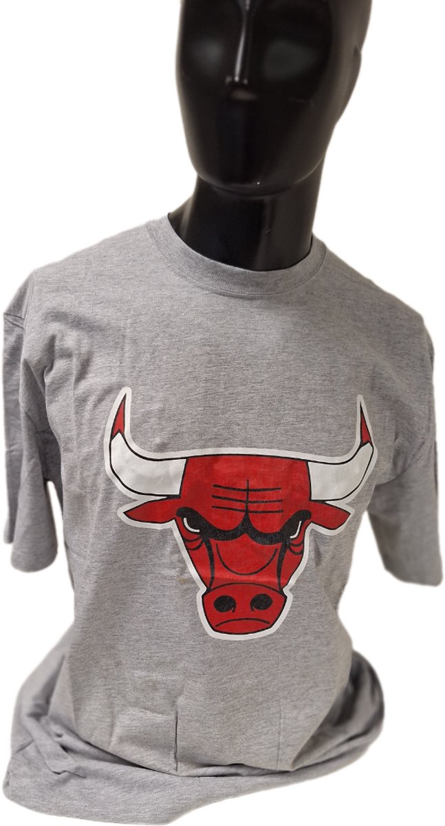 CHICAGO BULLS T-SHIRT Grijs