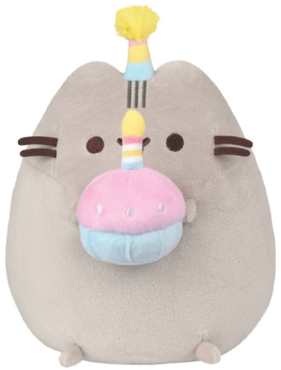 Pusheen Verjaardag Pluche Knuffel Grijze Kat 25 cm