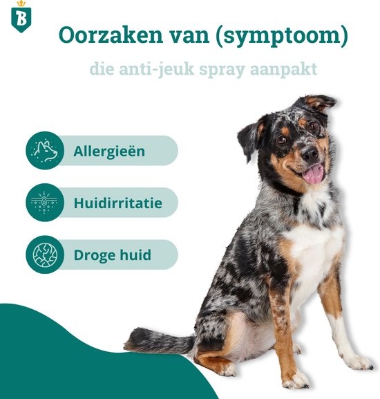 Zittende australische herder met icoontjes die allergieën, huidirritatie en droge huid aangeven.