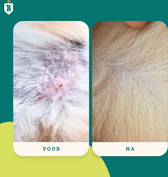 Voor en na de behandeling van een hondenhuid. Links: rode, geïrriteerde huid. Rechts: gezonde huid.