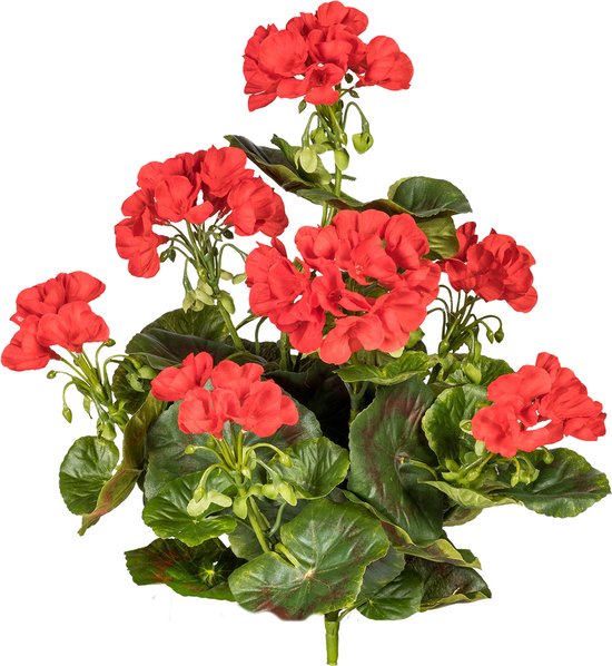 Flourify, Bouquet de géraniums artificiels - 2 pièces - plante artificielle - résistant aux UV - rouge/vert - 40 cm