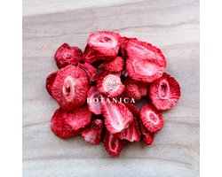 BOTANICA Aardbei Schijfjes Gevriesdroogd / 70g / 100% natuurlijk / vegan / glutenvrij