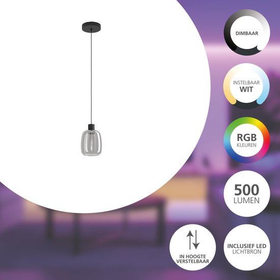 Led Rookglas Bol EGLO connect.z Molochio-Z Smart Hanglamp - LED - Ø 12,5 cm - Zwart ...