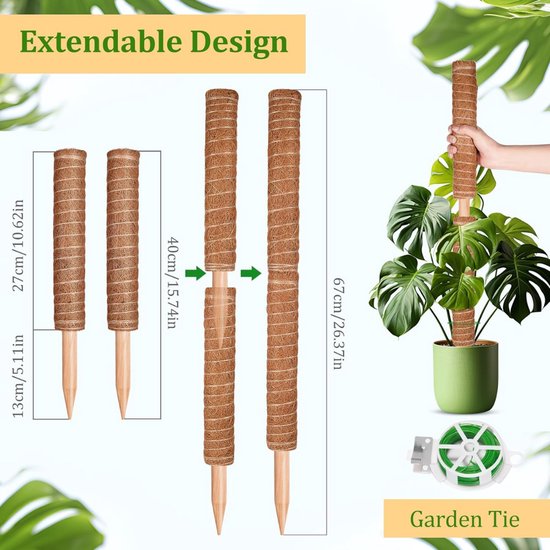 10 soorten plantensteunen voor elk type plant - Gardeners World