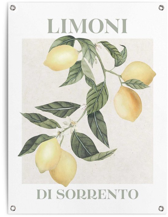 Reinders Tuinposter Limoni - 80x60cm - Canvas - REINDERS