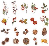 Deco stickerset - Het Bos - 40 stuks - Forest Sticker - Bullet Journal Stickers - Planner Agenda Stickers - Bladeren - Botanisch - Scrapbook stickers - Laptop stickers - Telefoon stickers - Bujo stickers