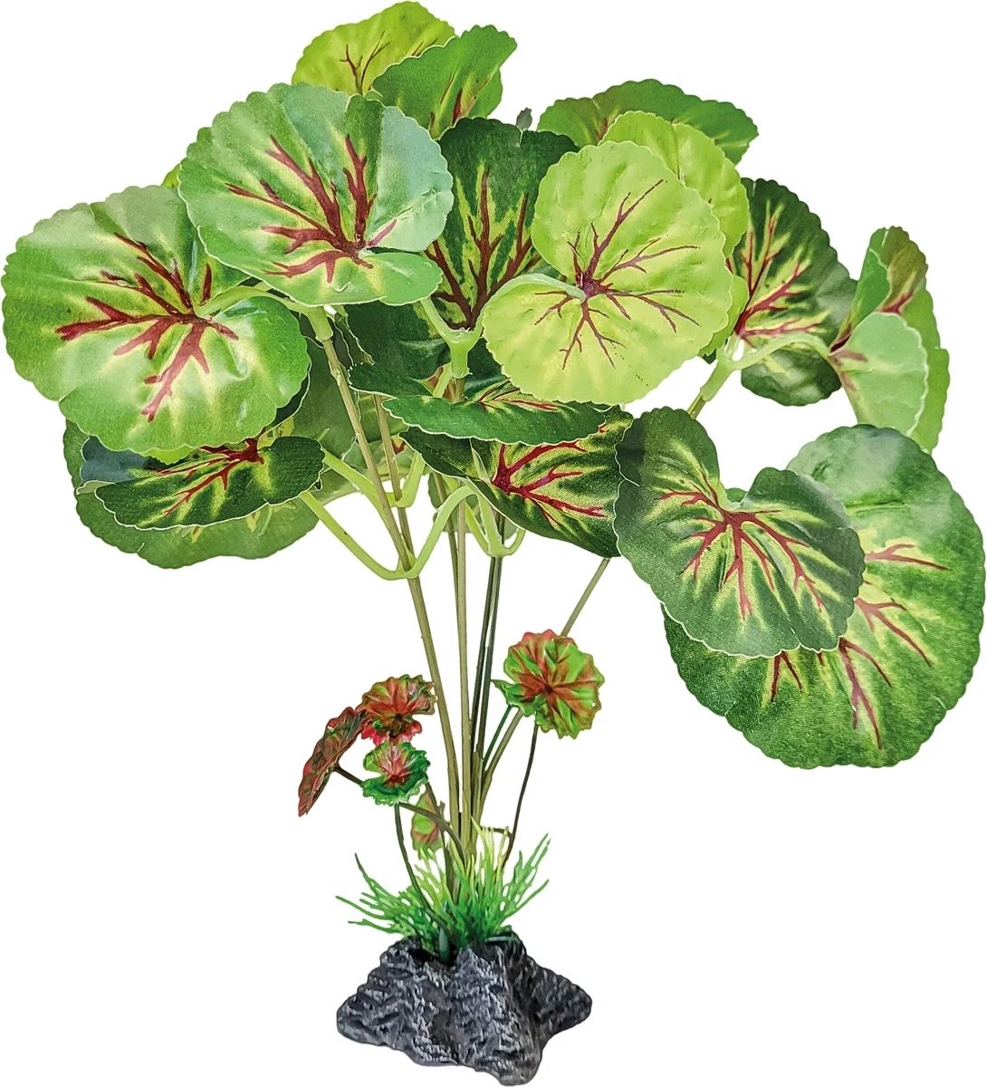 Repto Staande terrariumplant met ronde bladeren | 46 cm | onderhoudsvrije schuilplant