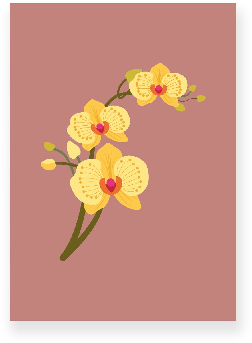 Yisual Poster 50x70 cm - Orchidee - Bloemen - Roze - Geel - Minimalistisch - Botanisch - Muurdecoratie - Wanddecoratie