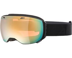 Lunettes Alpina Big Horn QHM, noir mat