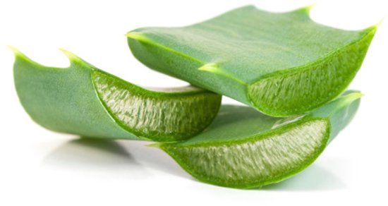 Drie gesneden stukken van een Aloë Vera plant met groen gel-achtig vruchtvlees.