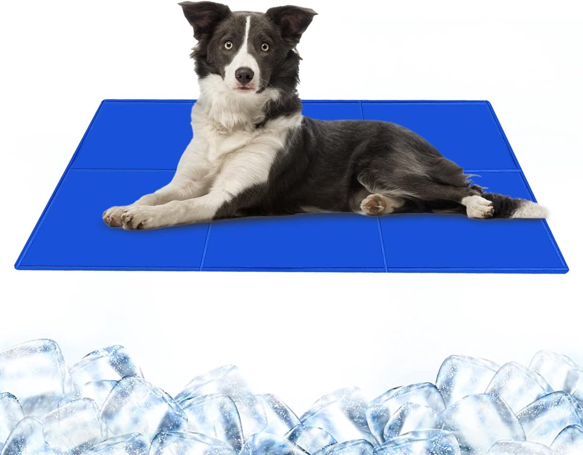 Hondenkoelmat 90x50cm - Duurzaam Zelfkoelpad voor Honden en Katten in de Zomer