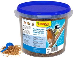 Gevriesdroogde Meelwormen - Emmer- 2,5 l