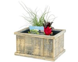 Moerings Terrasvijver Hout Old Dutch