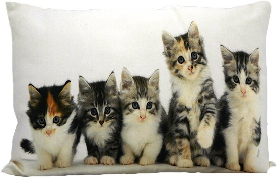 Mars & More Cats - Coussin - 35x50 cm - Gris